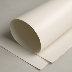 Пленка фторопластовая Ф-4 0,1 мм ИН ГОСТ 24222-80 изоляционная неориентированная